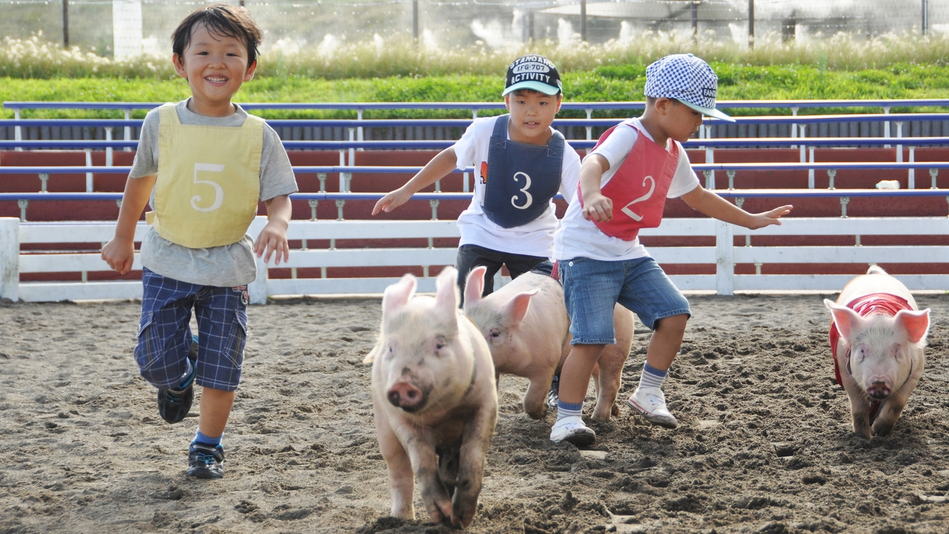 【ファミリーにおすすめ】家族旅行におすすめな千葉観光スポット 1泊2食バイキングプラン