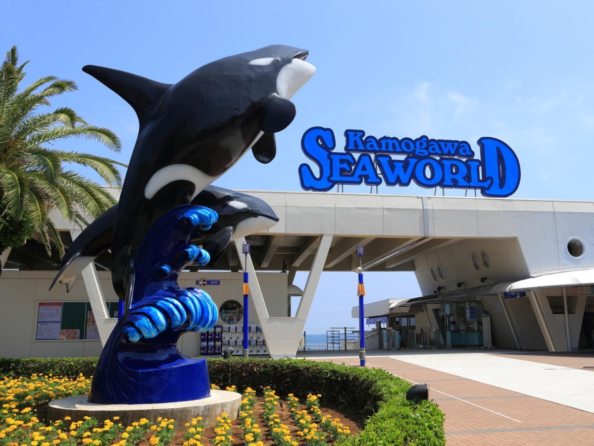 【ファミリーにおすすめ】家族旅行におすすめな千葉観光スポット 1泊2食バイキングプラン