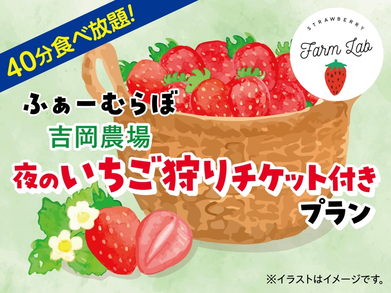 《映えスポットのイルミネーションとともにいちご狩り！》１泊２食バイキングプラン