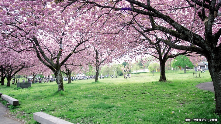 【春旅】-桜で感じる春の訪れ-　一泊二食バイキングプラン