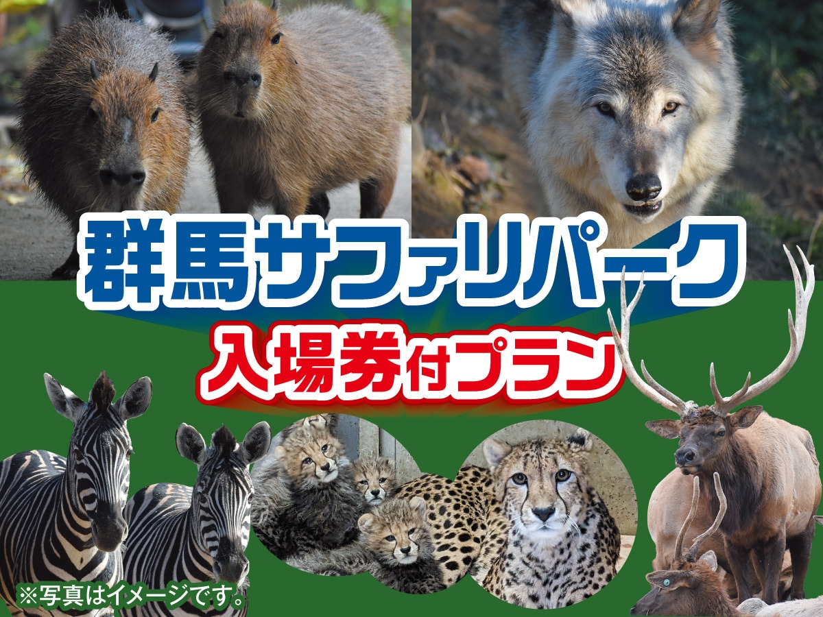 【群馬サファリパーク入場券付き】 1泊2食バイキングプラン