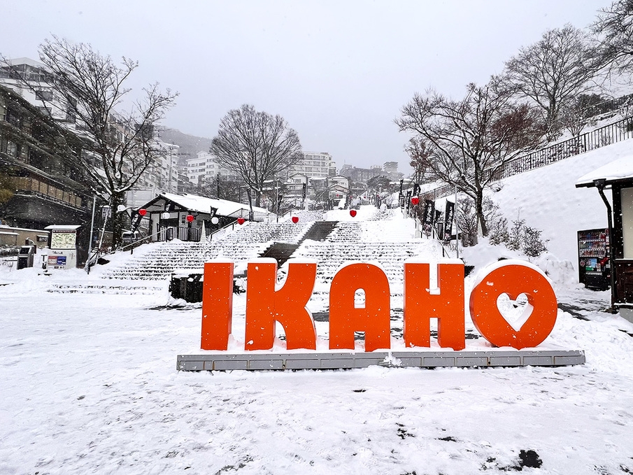 【冬旅】-空気・光・雪景色-冬の魅力を楽しむ　一泊二食バイキングプラン