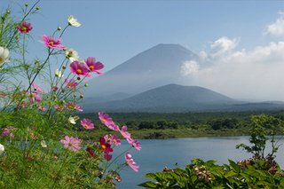 精進湖からみた富士山