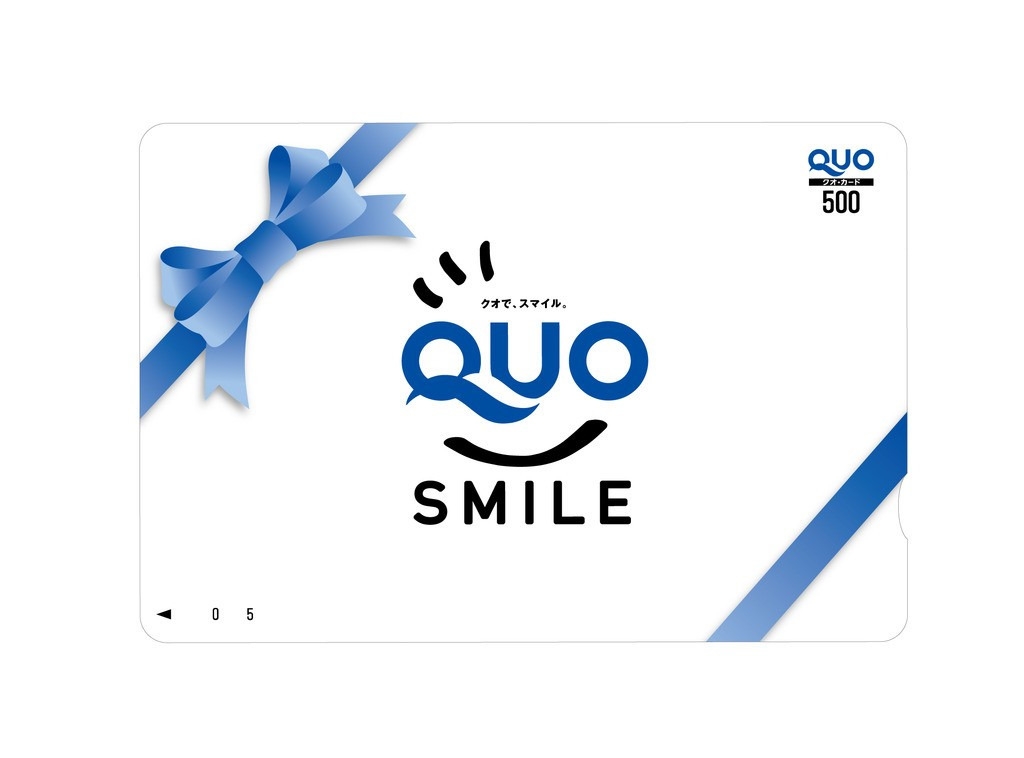 便利なQUOカード500円付プラン！【領収書一括表記】　駐車場無料！　各客室専用wi-fi完備！