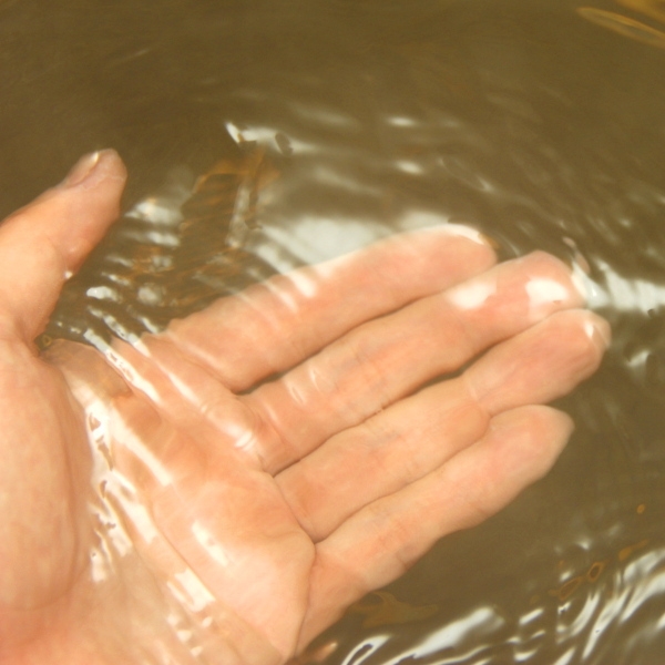 常連さんに根強い人気★うなぎの蒲焼×『えびの』の里山料理で大満足≪２食付≫※現金決済※