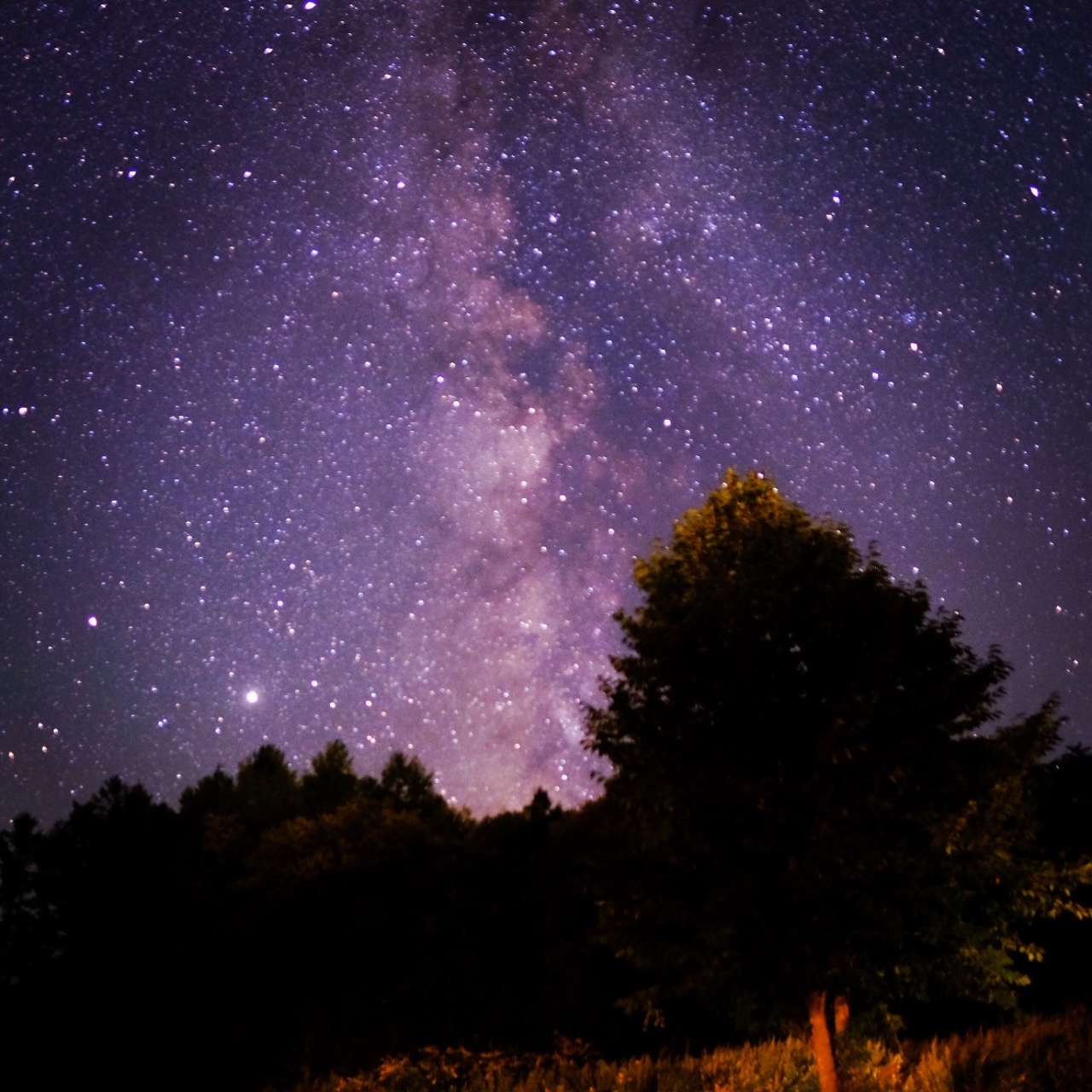 【朝食付き】オリジナルバーガーや自家製ミネストローネスープなど！贅沢なルームサービス♪