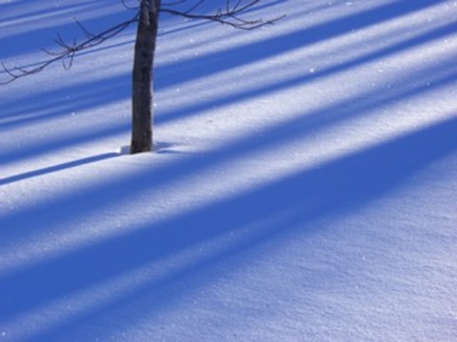 感動の風景は冬に多く見られます。