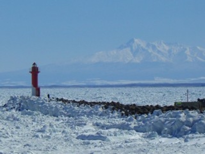 オホーツク海を埋め尽くす感動の流氷。