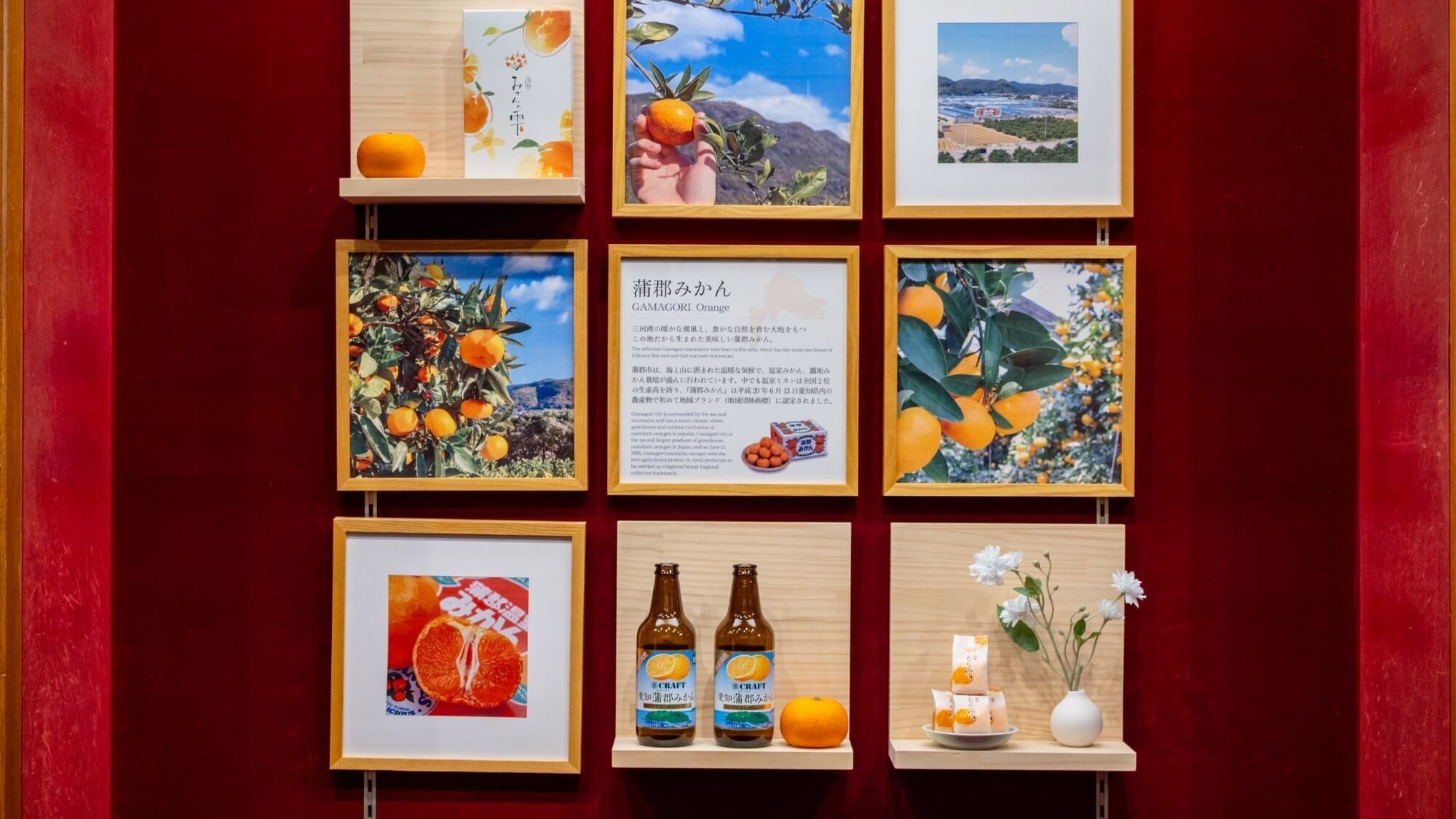 ラウンジ蒲郡みかん展示