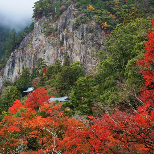 鳳来寺山（紅葉）