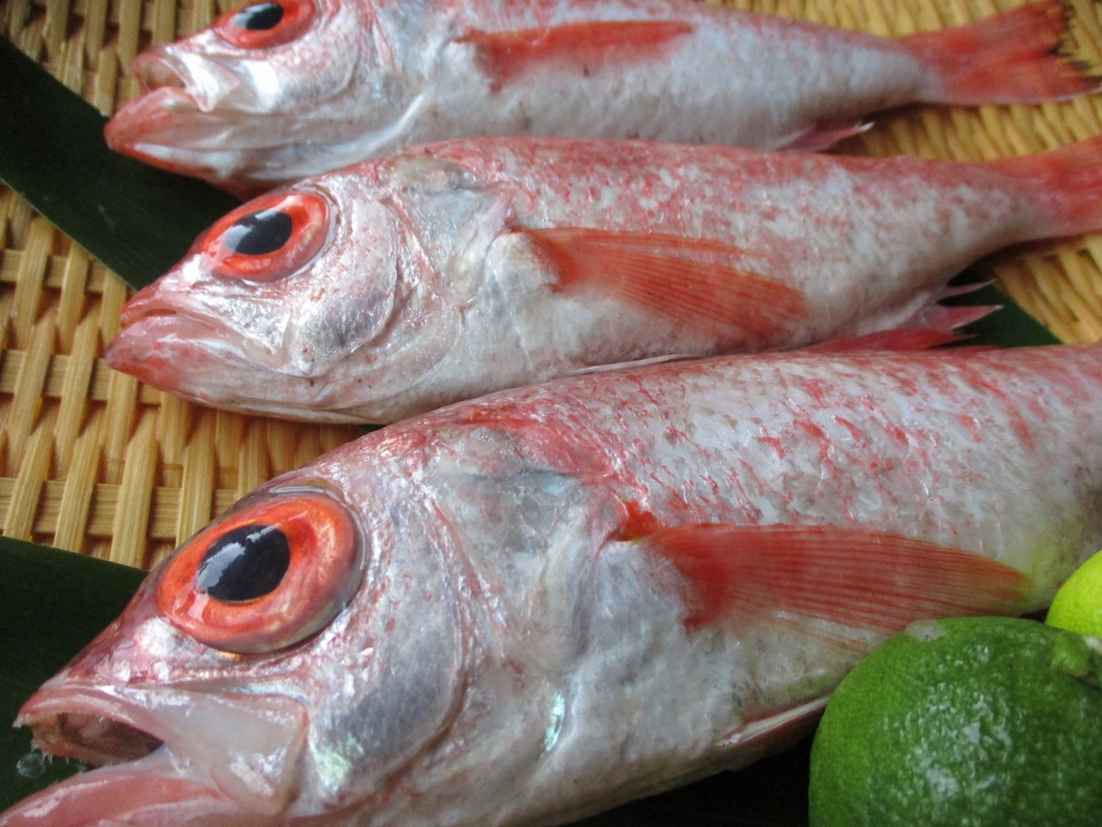 カニと海の幸で贅沢な時間を！！！