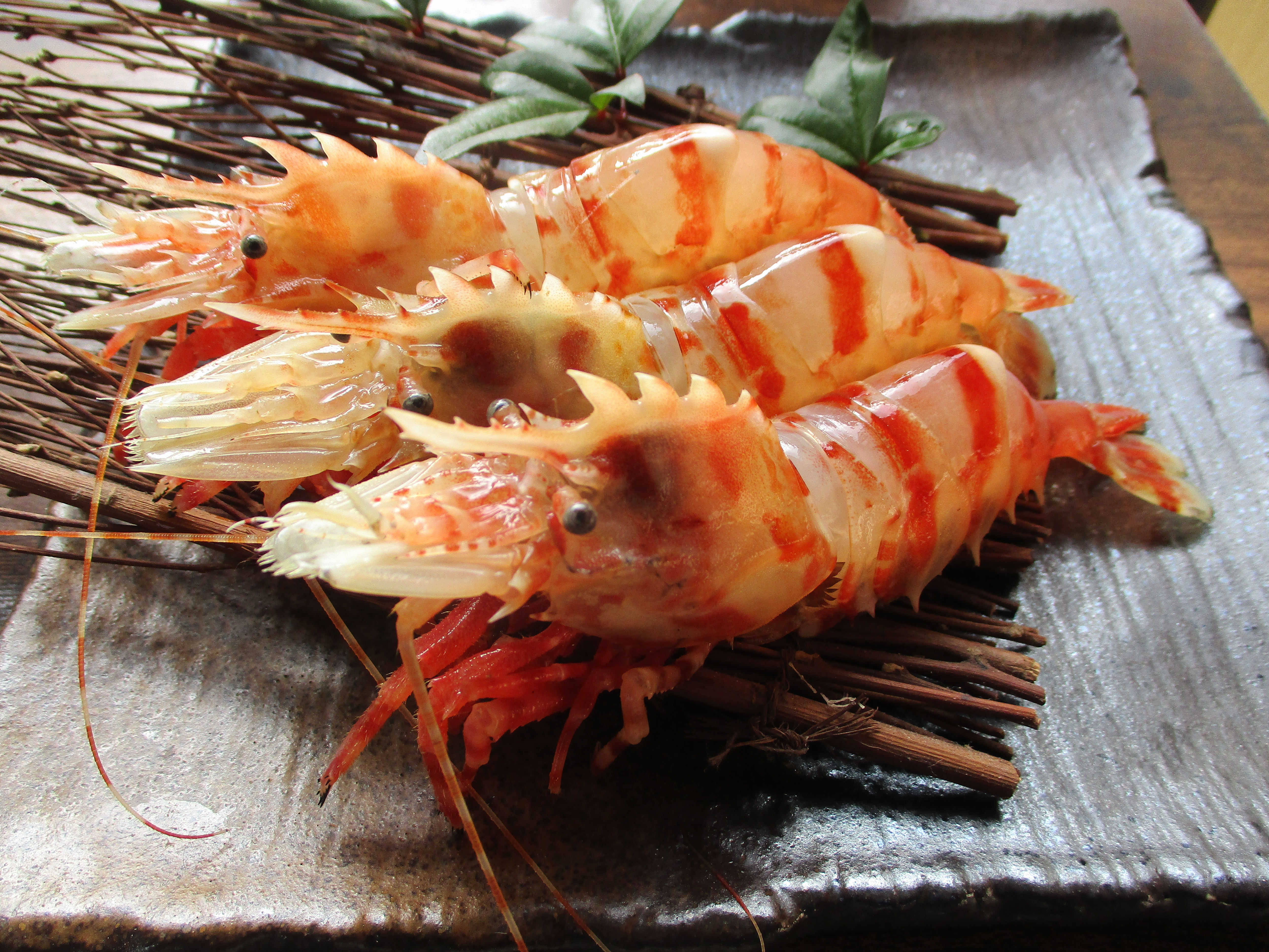 幻のエビ「鬼エビ」