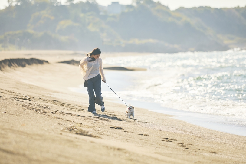 【愛犬プラン 愛犬同室可】越前蟹味覚の王者越前蟹お一人様半分コース