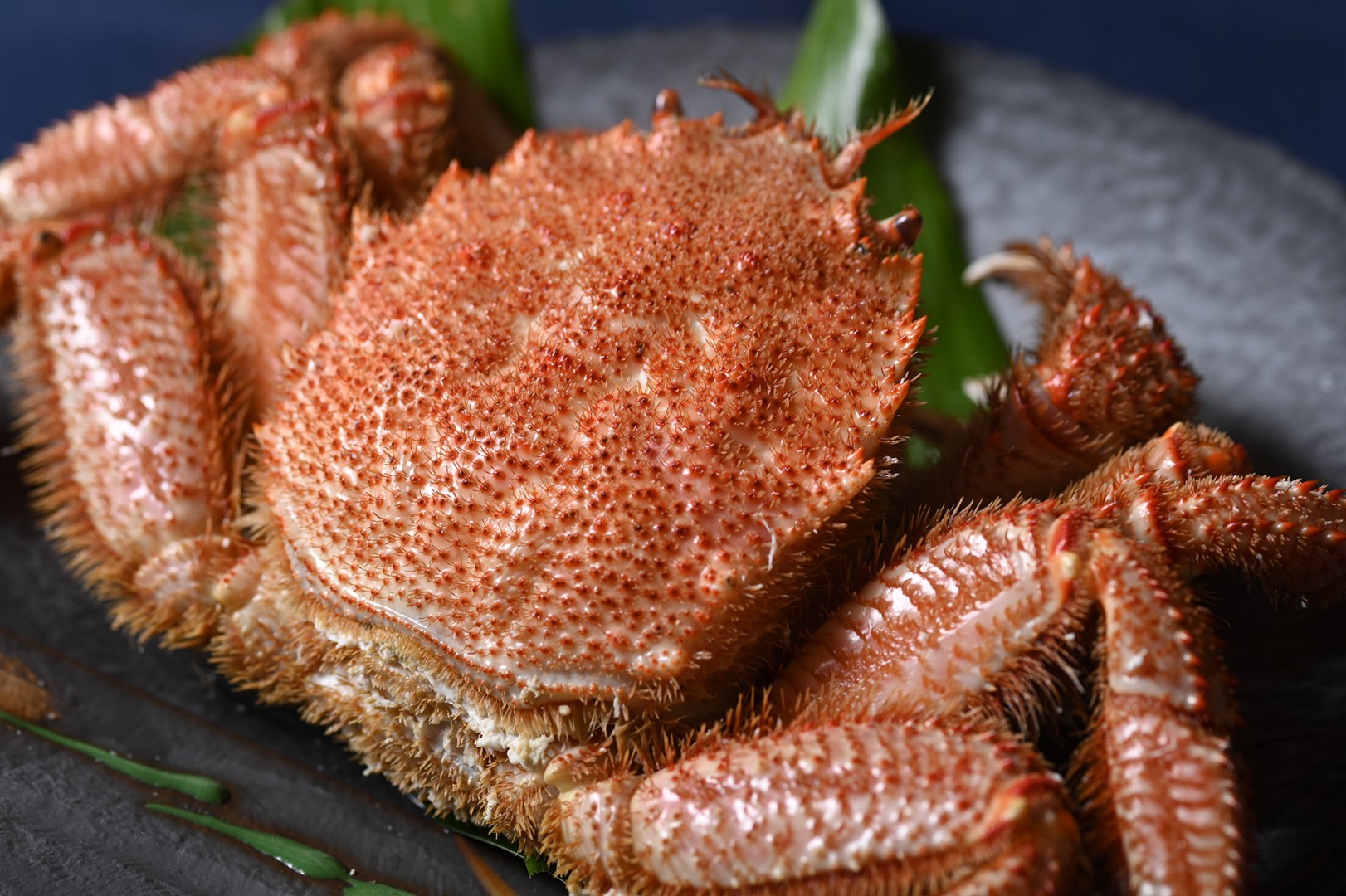 【訳あり】蟹と地魚コース