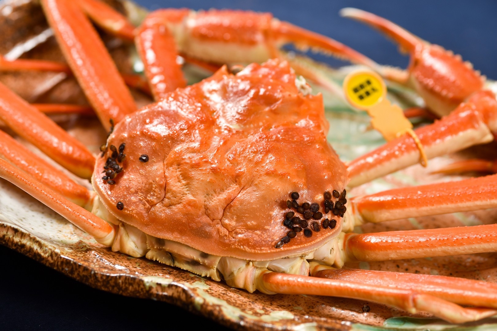 【愛犬プラン 愛犬同室可】越前蟹味覚の王者越前蟹お一人様半分コース