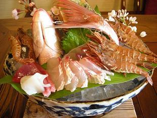 ガサ海老・桜鯛の刺身