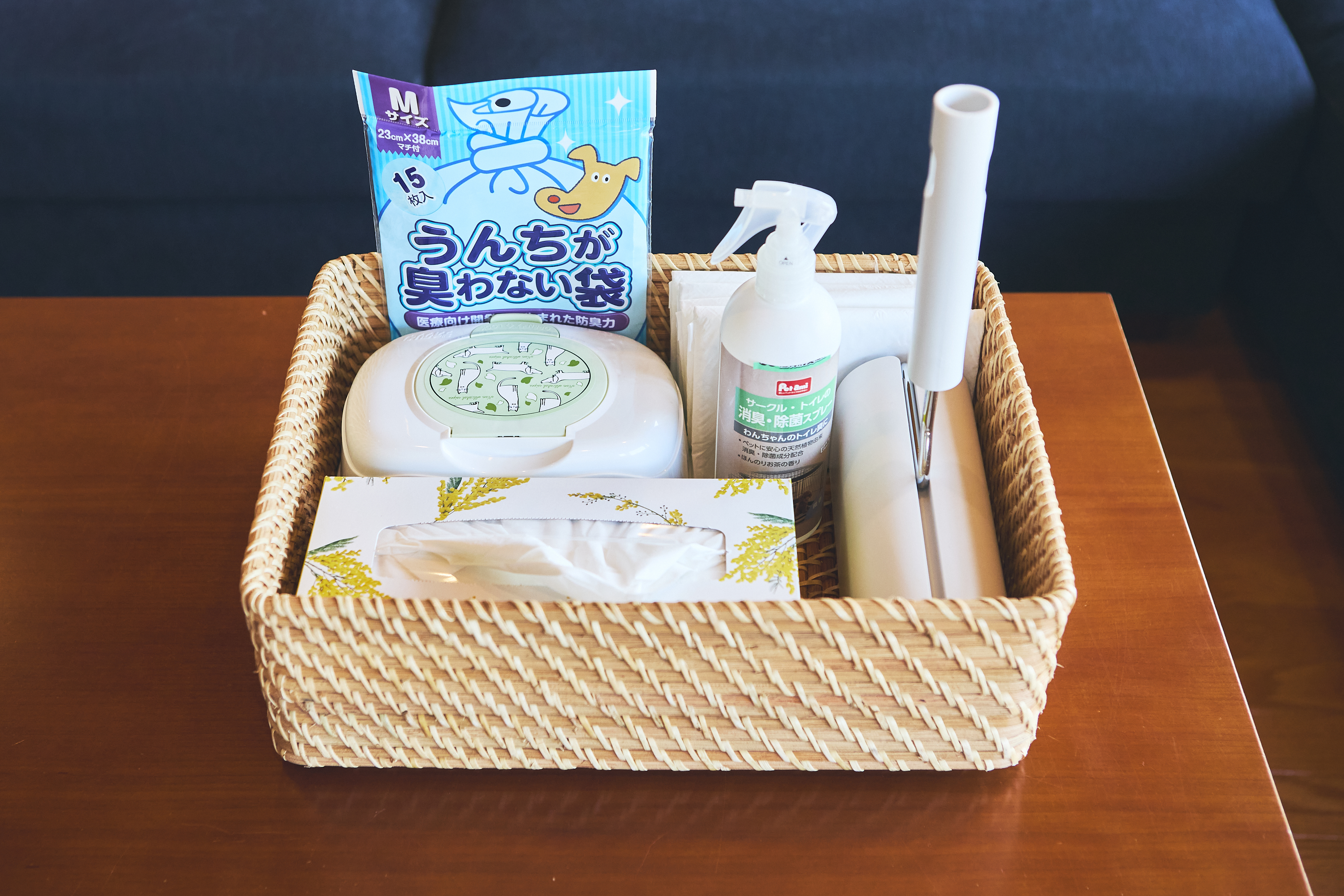 愛犬にご用意しているアメニティ