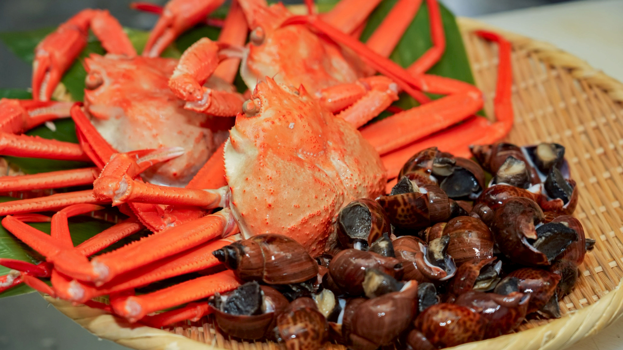 *食材イメージ/新潟の海の幸と言えば紅ズワイガニ！新鮮な食材を使って調理いたします