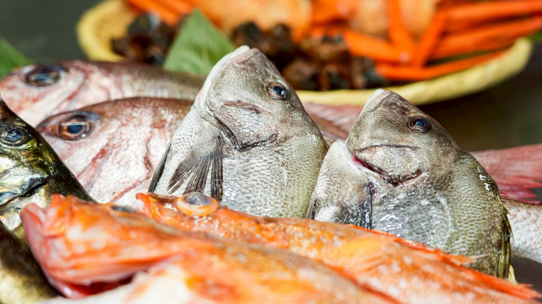 *食材イメージ/日本海から直送、今日の&ldquo;ごちそう&rdquo;