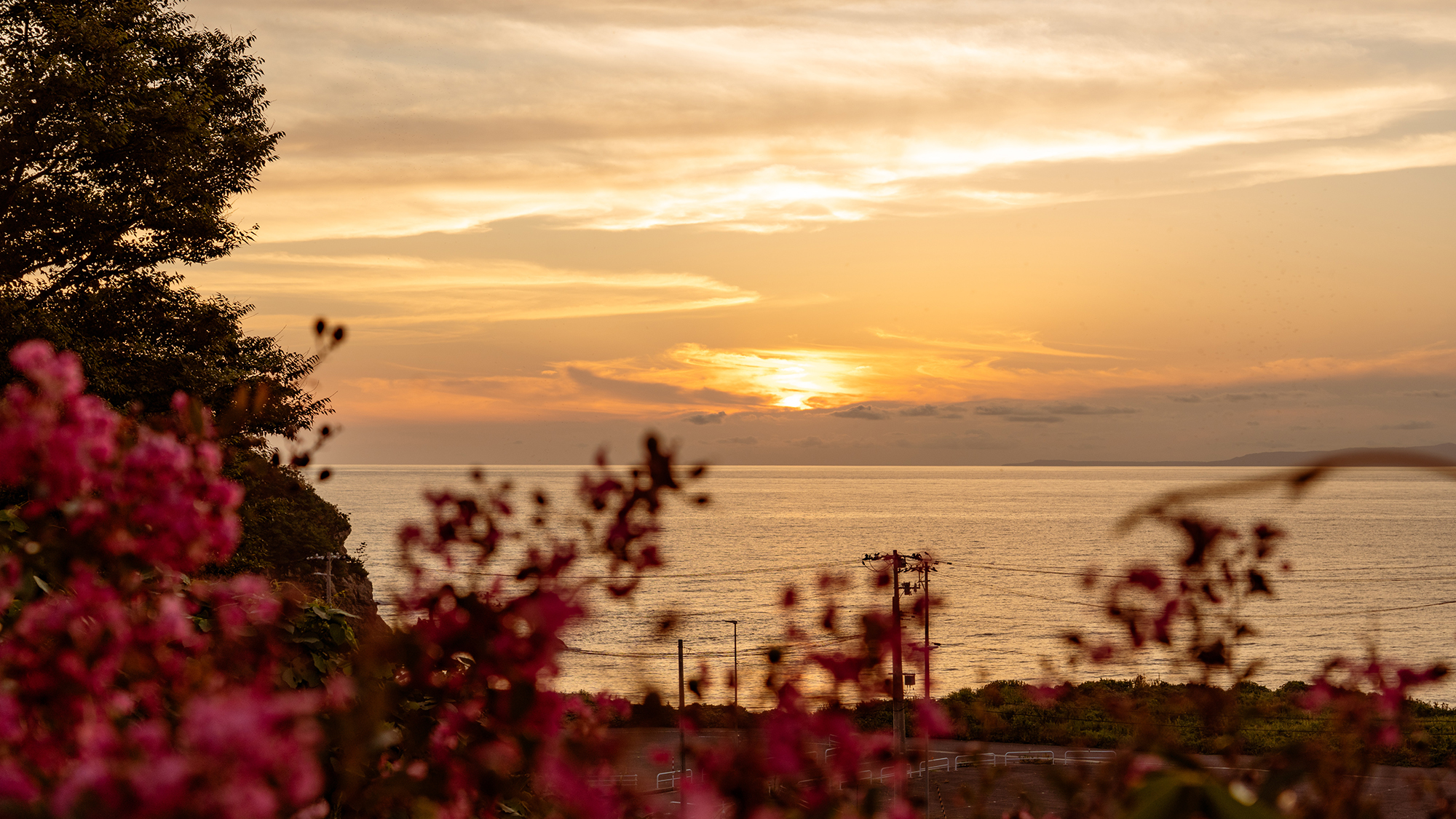 *季節の花と日本海に沈む夕日、ぜひお気に入りの夕日スポットを探してみてください