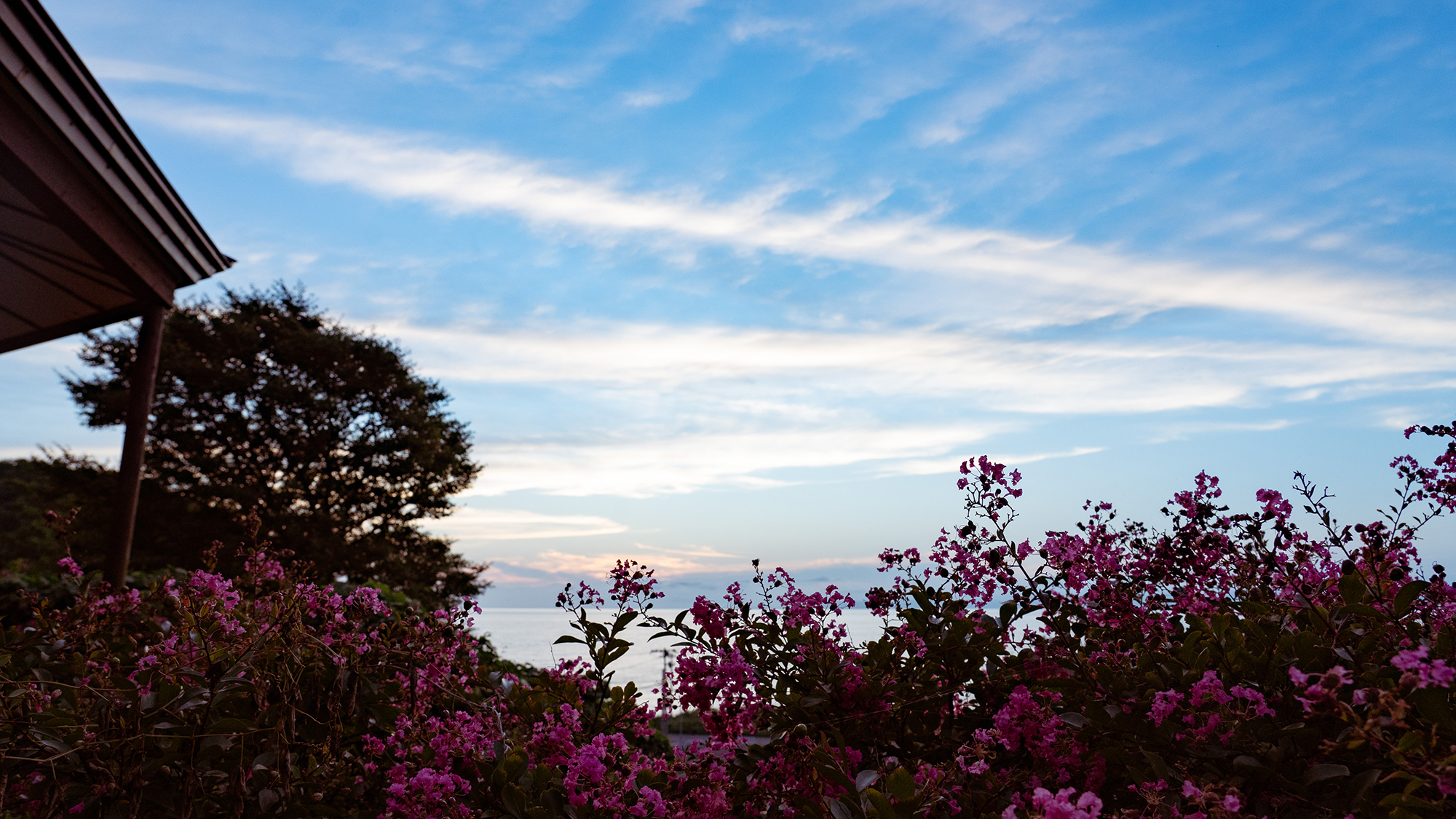 *雲の形は千差万別、その日だけの雲と夕日のコントラストをお楽しみください