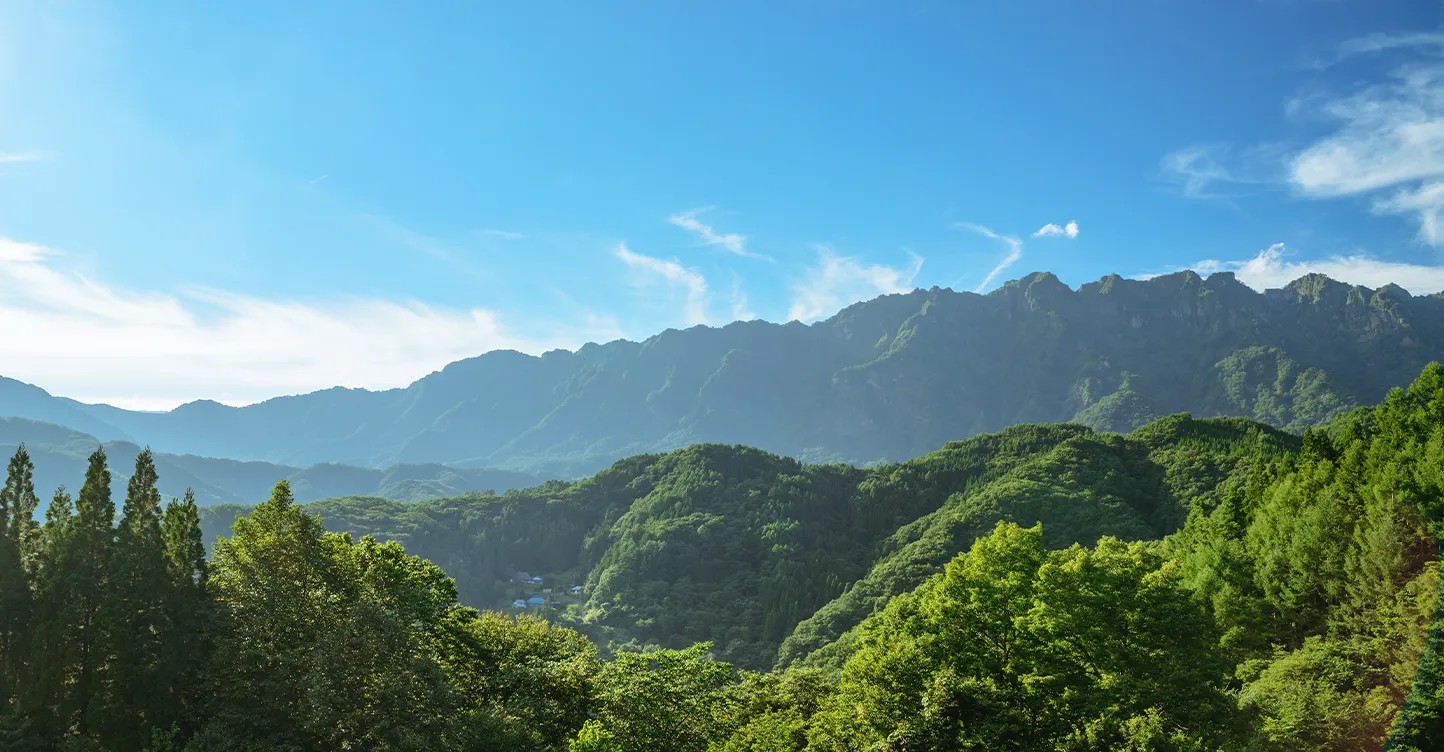 周辺観光：登山スポット「長水山」