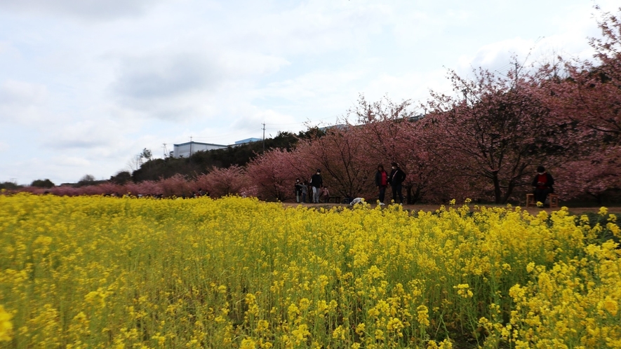 東大山花川沿い（4）