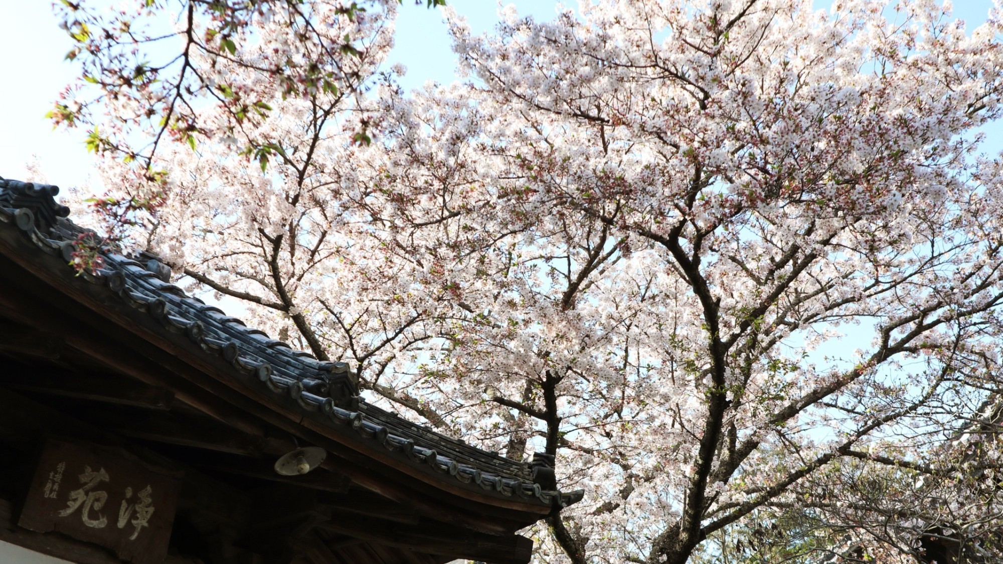 萬松山龍潭寺（5）