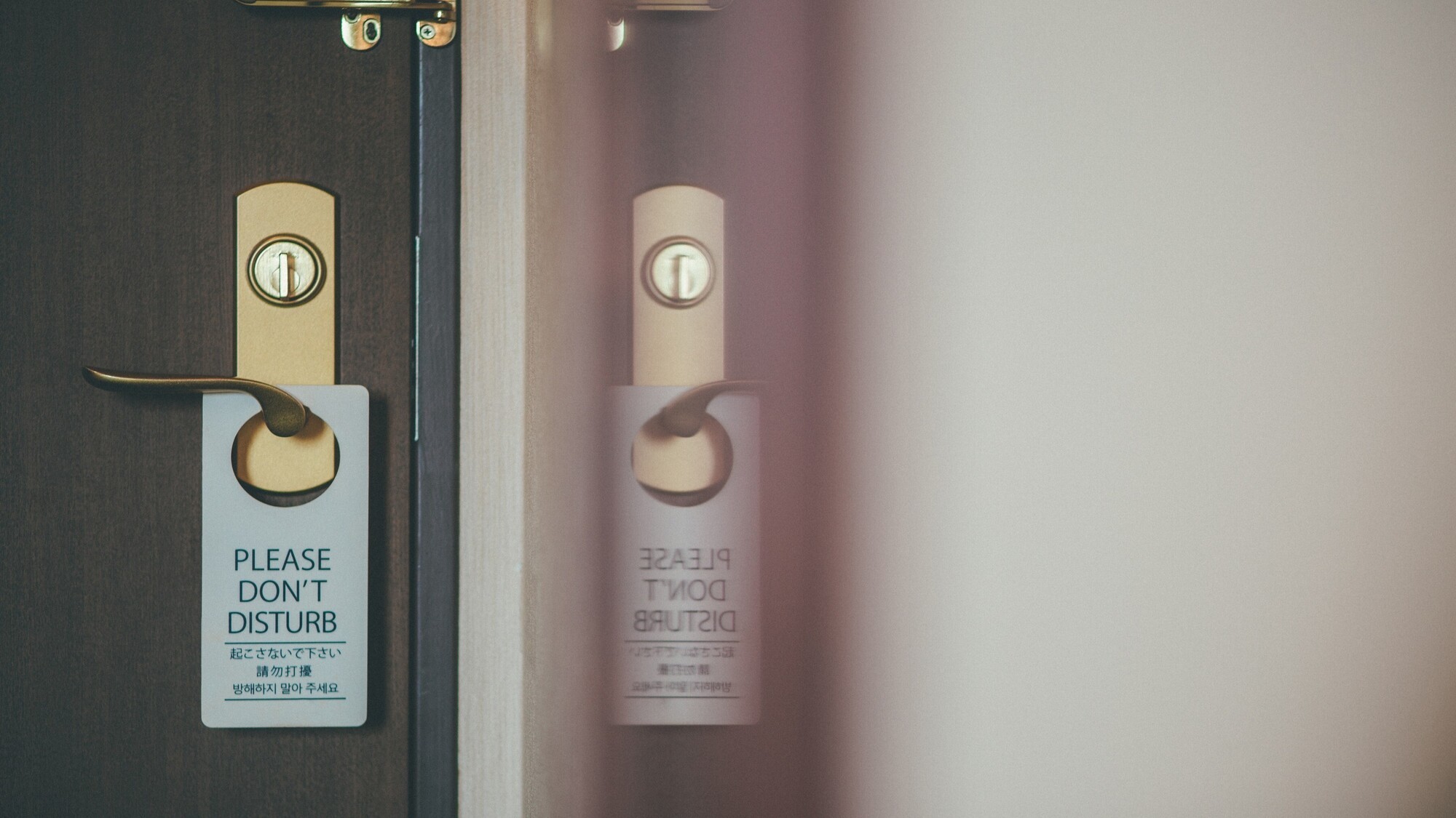 客室のイメージ