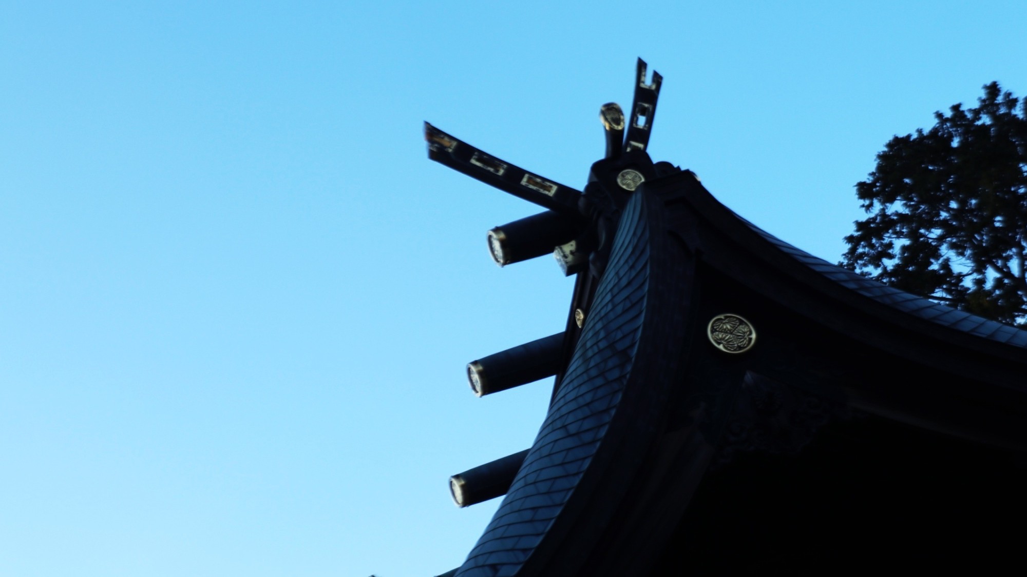 浜松八幡宮（4）