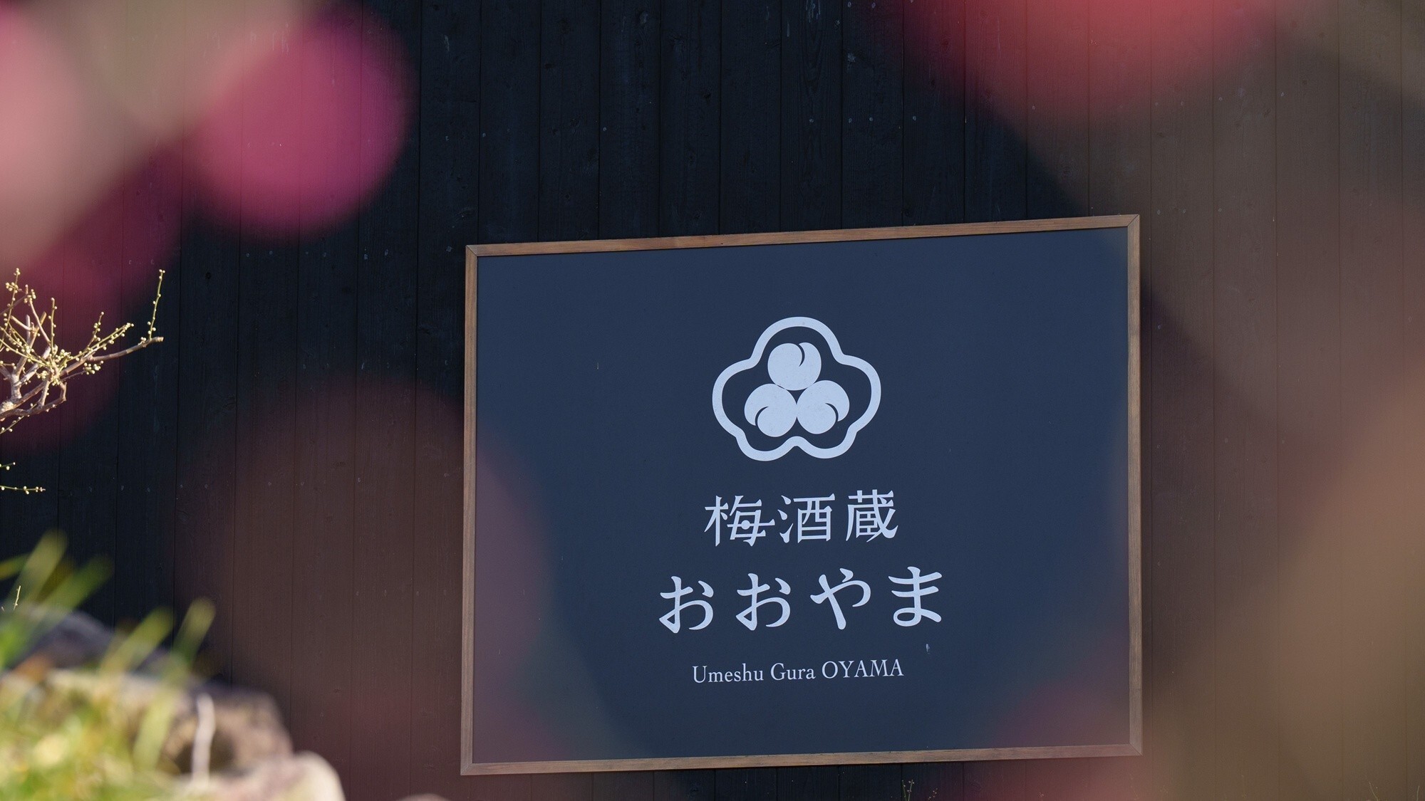 【梅酒蔵　おおやま】