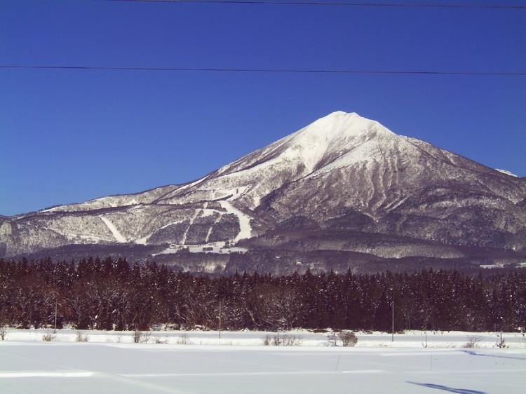 素泊まりプラン