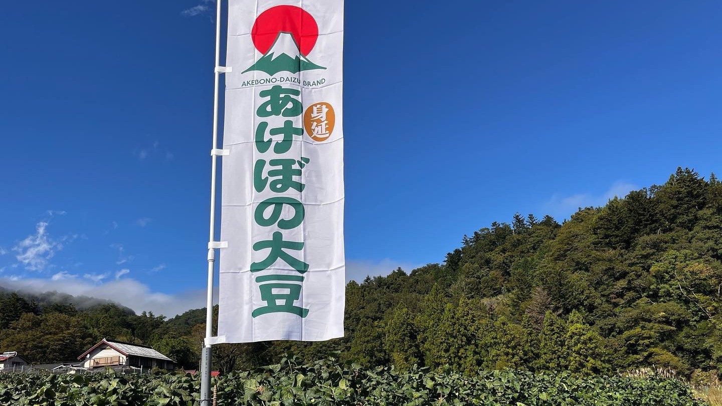 あけぼの大豆収穫体験