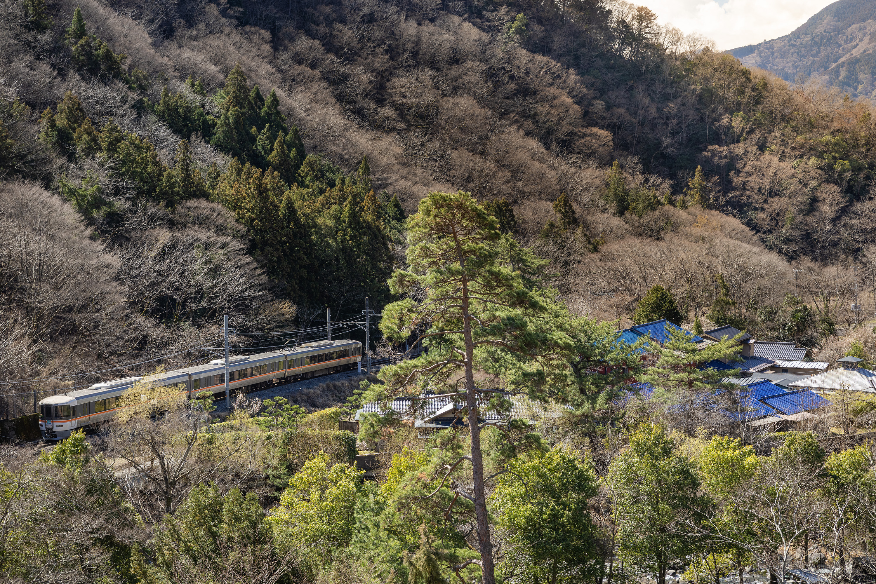 客室の窓からは雄大な自然とJR身延線の車両が走るのどかな景色がご覧いただけます