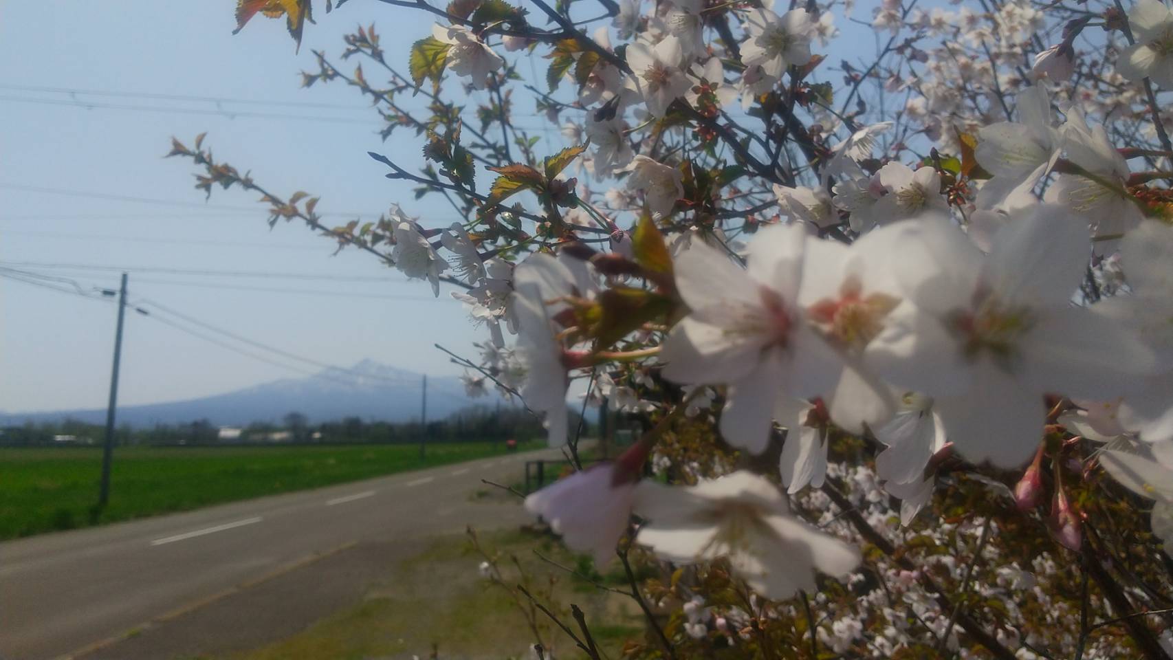 窓からの望む斜里岳