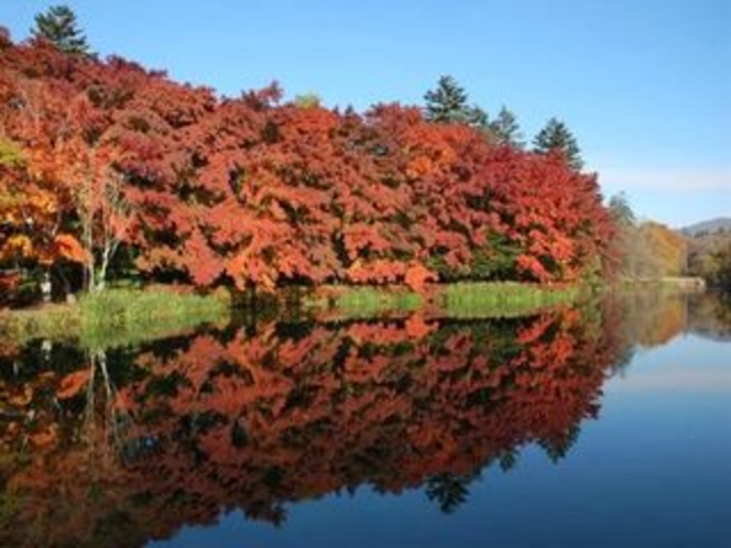 秋の雲場池