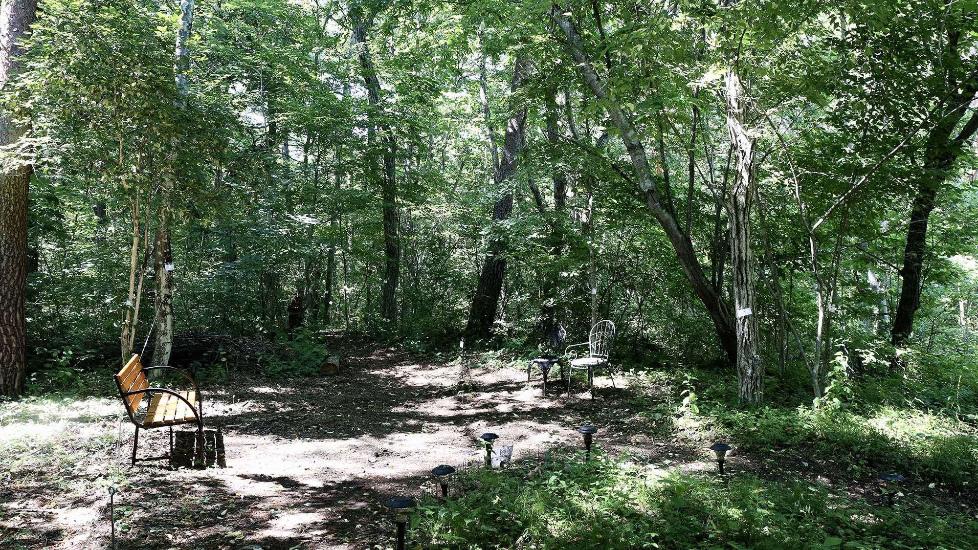 国有林の緑に囲まれたお散歩コース