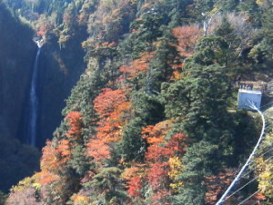 九重“夢”大吊橋紅葉