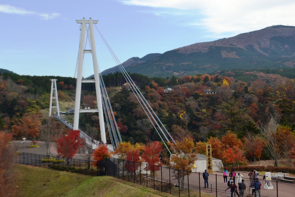 九重“夢”大吊橋の紅葉