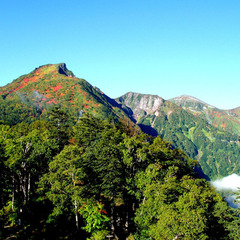 初秋の黒岳