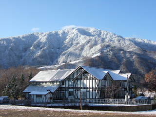 初雪のころのホワイトウイング