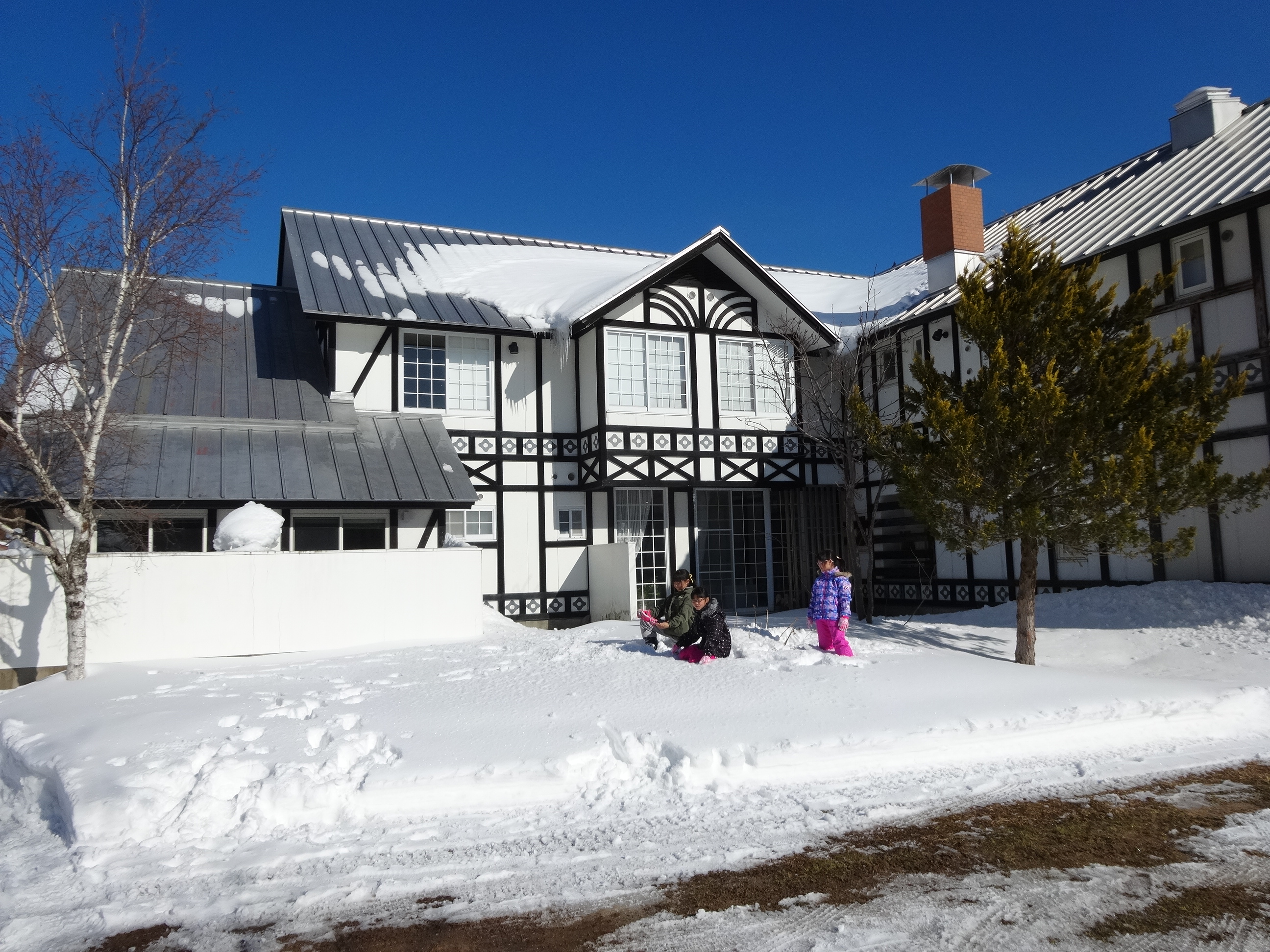 冬の裏庭の様子