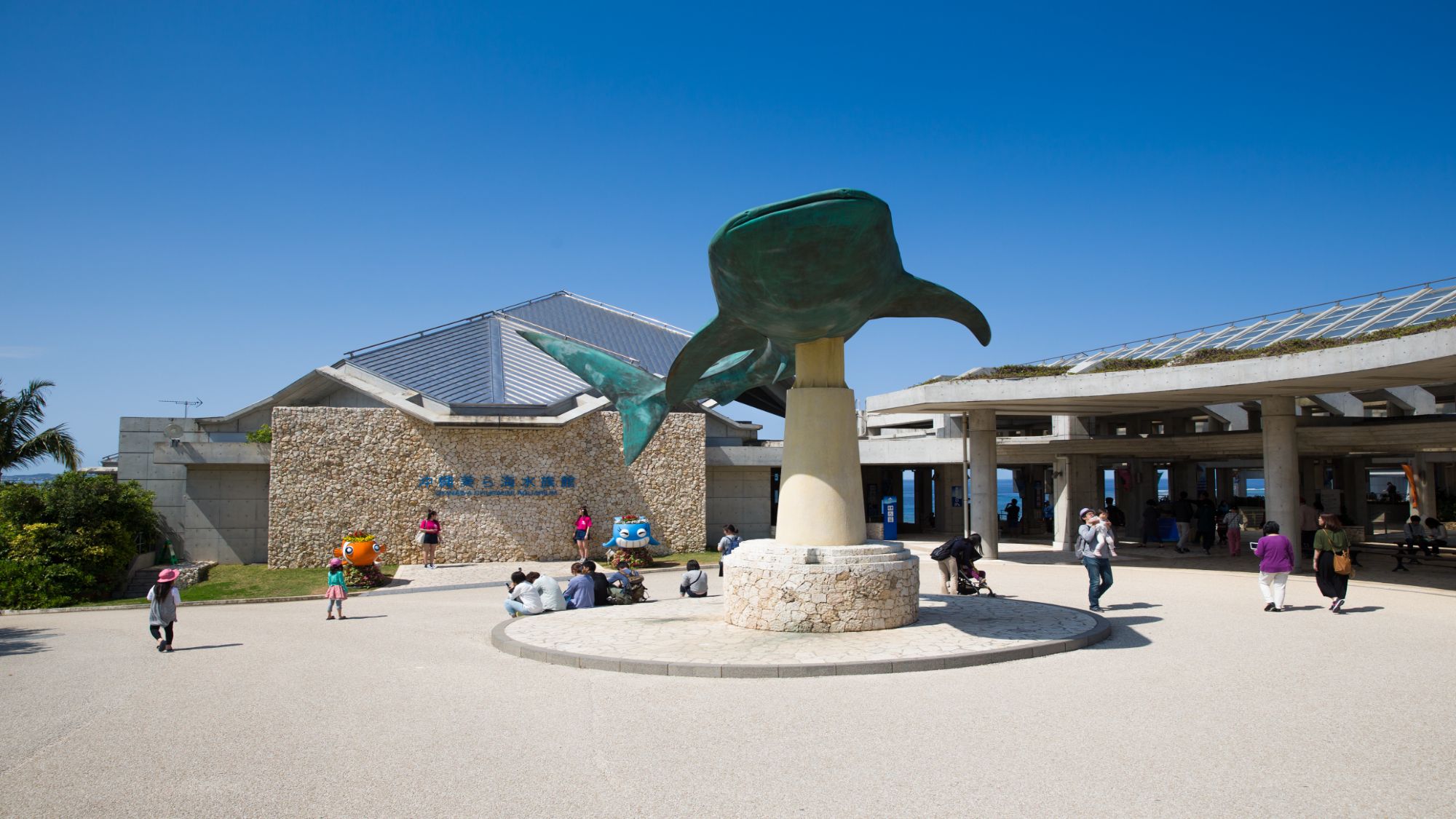 【沖縄美ら海水族館】当館から車で約15分