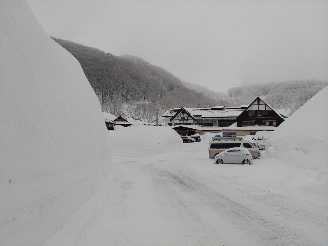 ◆宿泊日11/27〜◆【アップグレード料理】厳選された地元食材をふんだんに使った特別料理を楽しむ