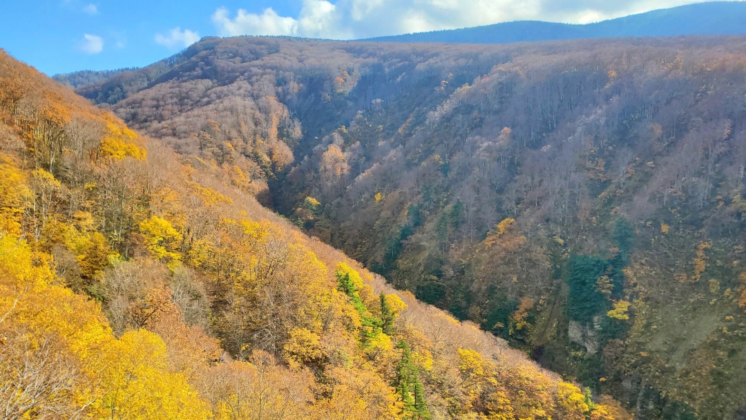 城ヶ倉大橋の紅葉