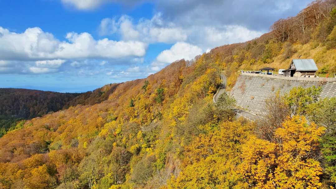 城ヶ倉大橋の紅葉