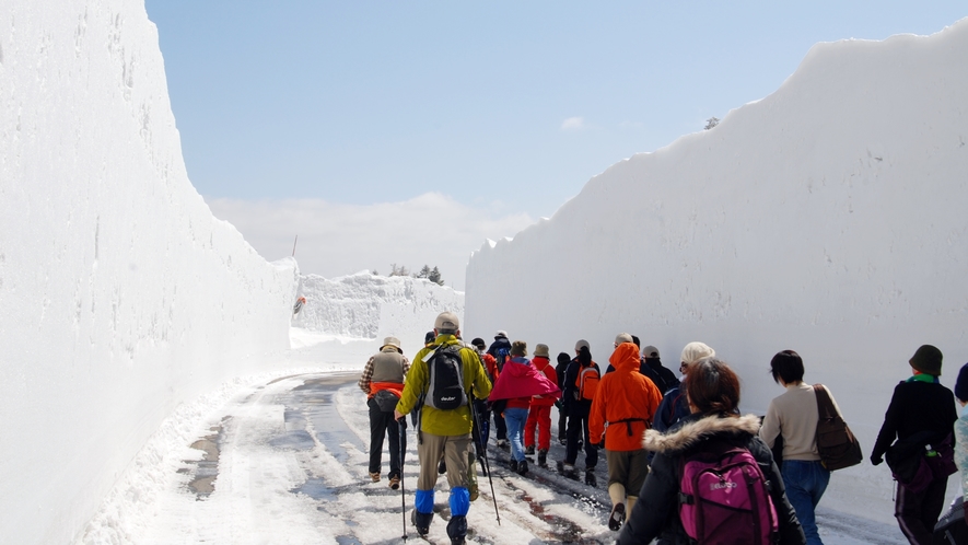 *【アクティビティ】雪の壁を歩く！八甲田ウォーク