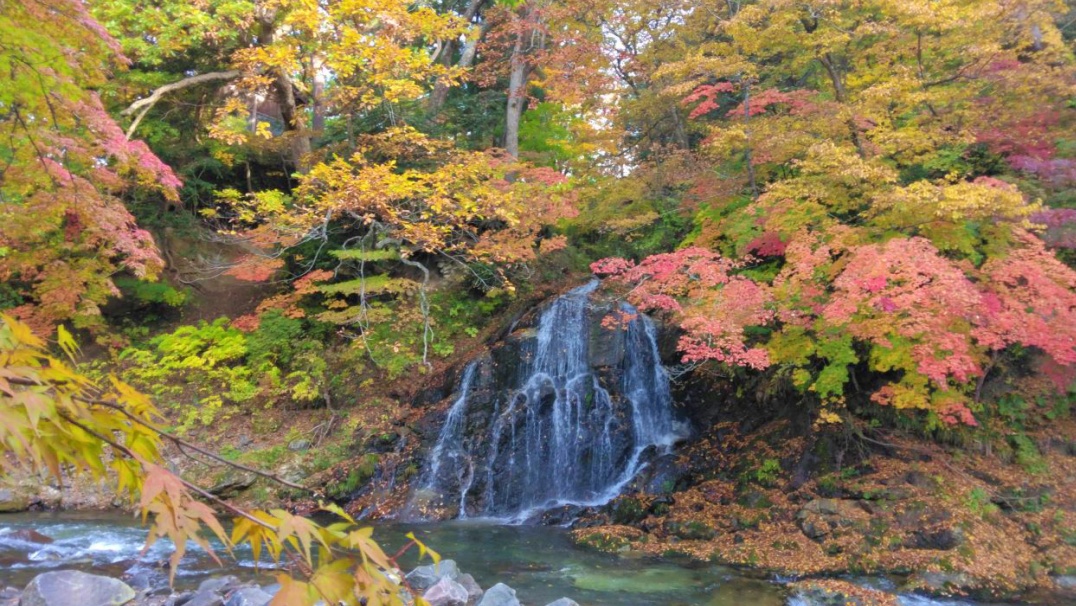 中野もみじ山「不動の滝」