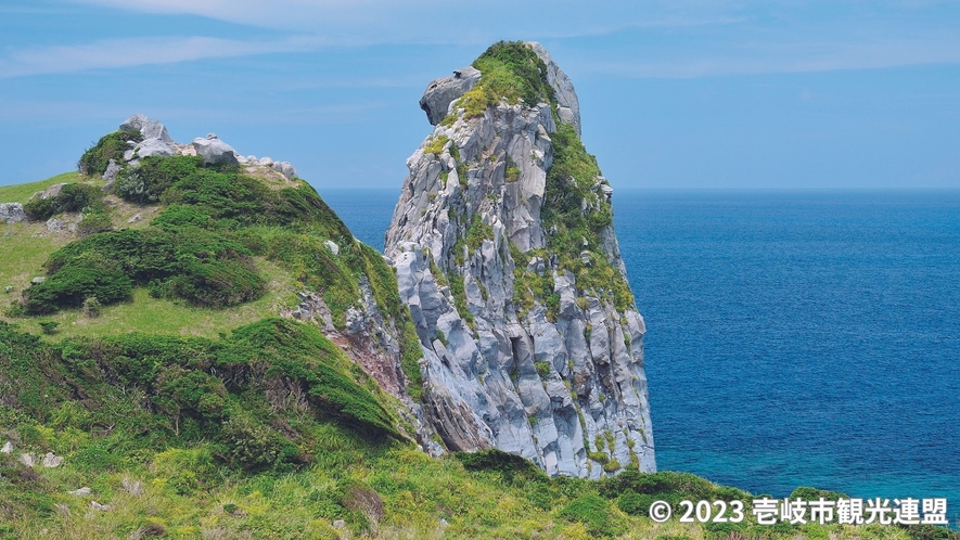 *【猿岩】黒崎半島の先端にある壱岐のシンボル猿岩。そっぽを向いた猿に見えるという、有名な観光地！
