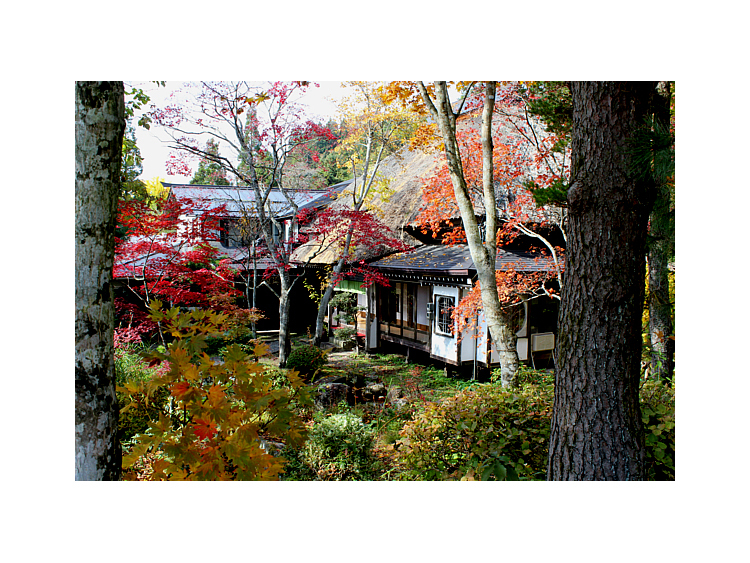 写真1